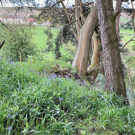 Church House Farm Danby Buitenkant foto