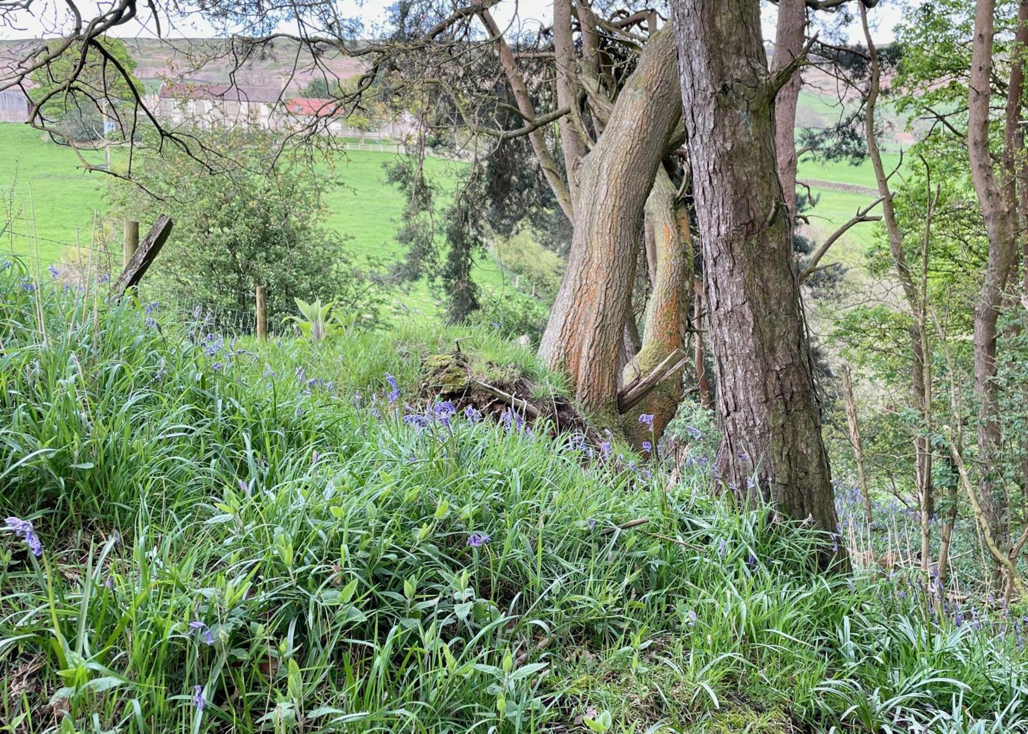 Church House Farm Danby Buitenkant foto